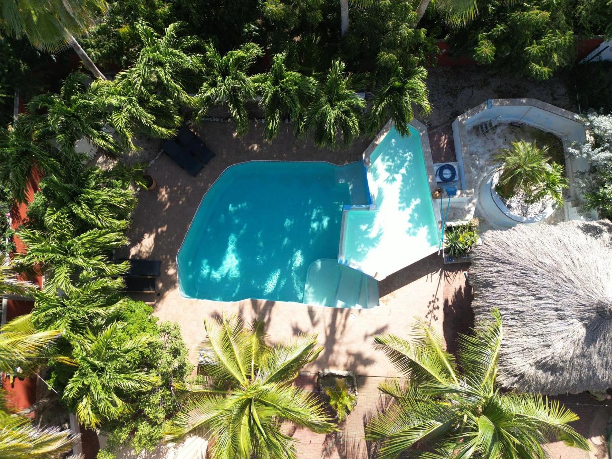 Woodstock Palmresort Curacao Willemstad Exteriér fotografie