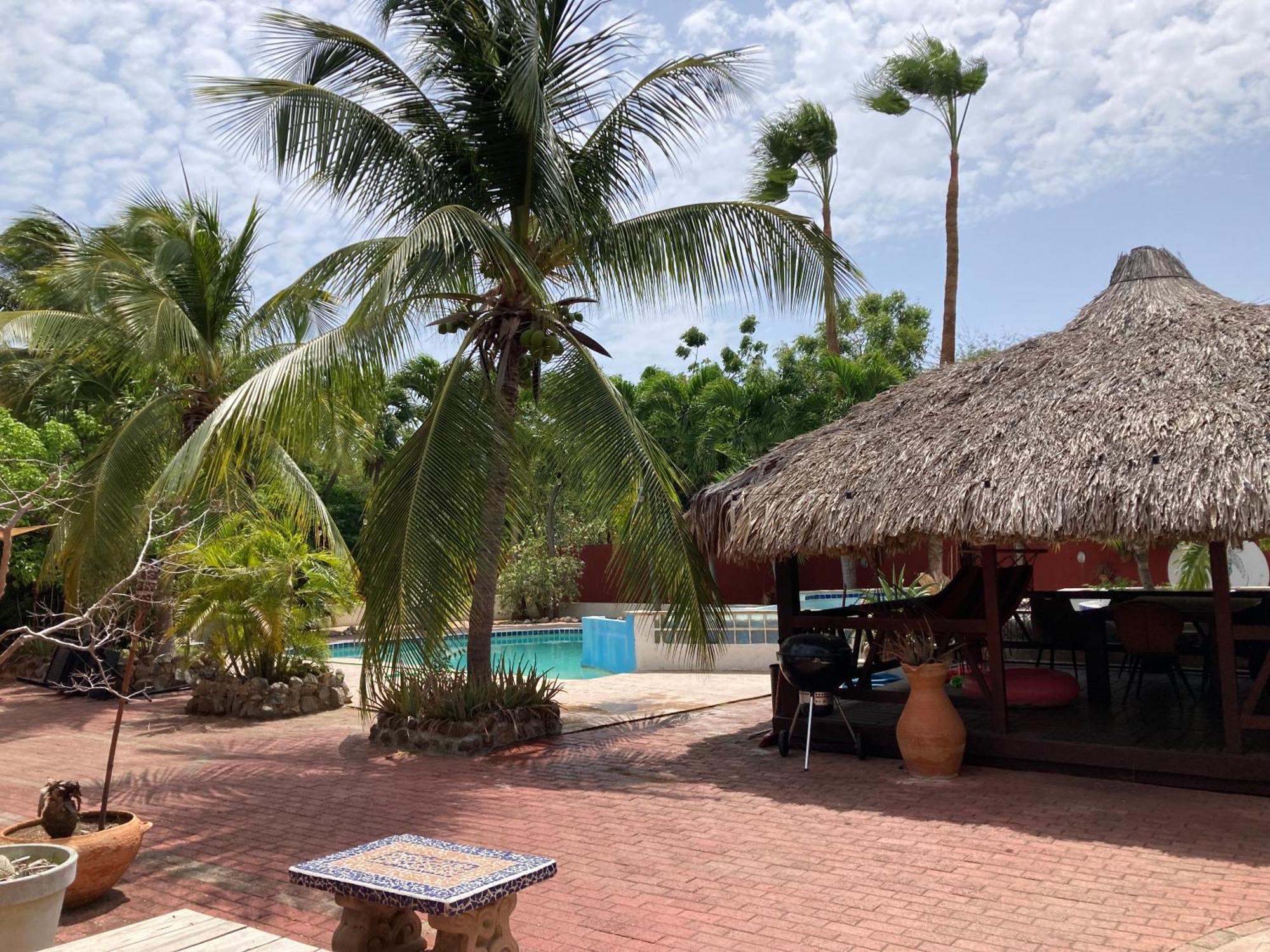 Woodstock Palmresort Curacao Willemstad Exteriér fotografie
